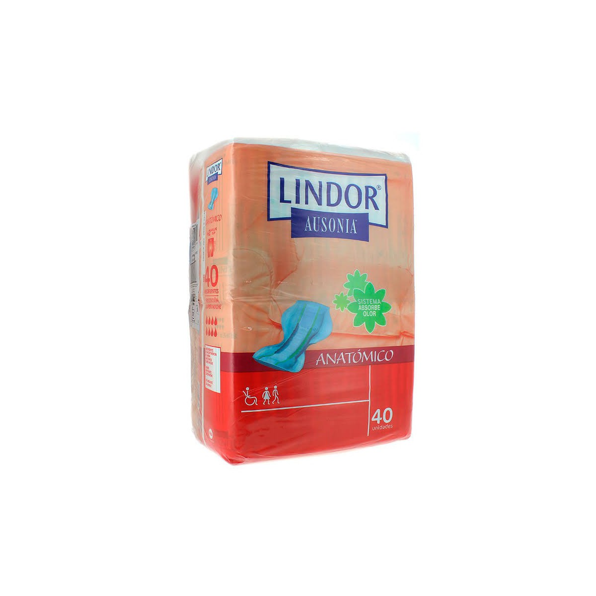 lindorpanalanatomicodia80unidades
